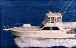 Atlantic Star