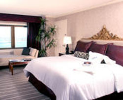 Trump Marina Bay Tower Room
