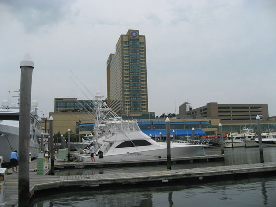 Trump Marina