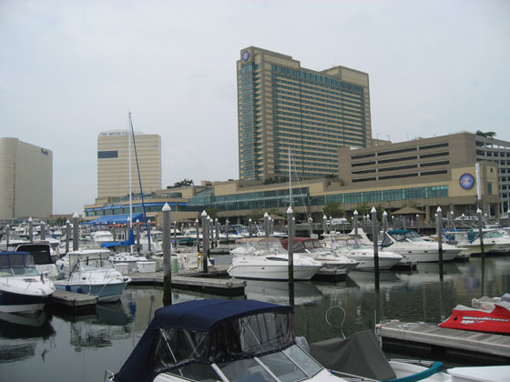 Trump Marina