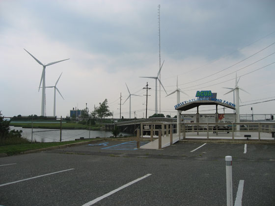 Windmills For Power. The windmills supply power for