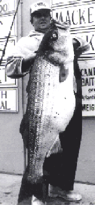 Al McReynold's World Record Striped bass
