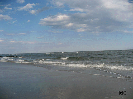 Atlantic City Surf 