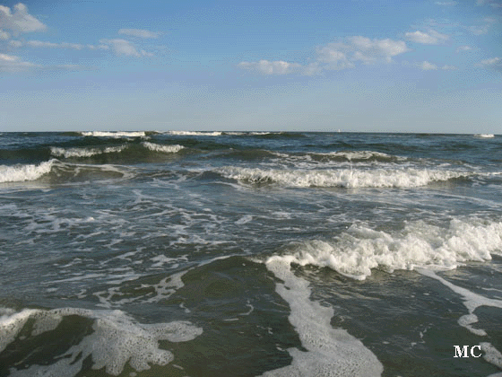  Calm Ocean Surf  