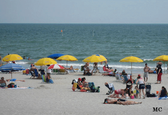 Beach Umbrellas on the Beach 