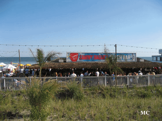 Sammy Hagar's  Beach Bar 