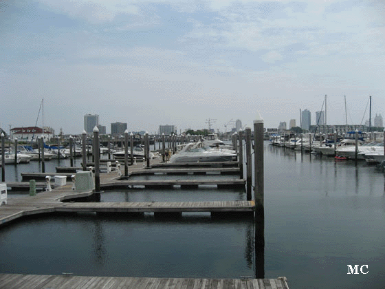 Empty Boat Slips 