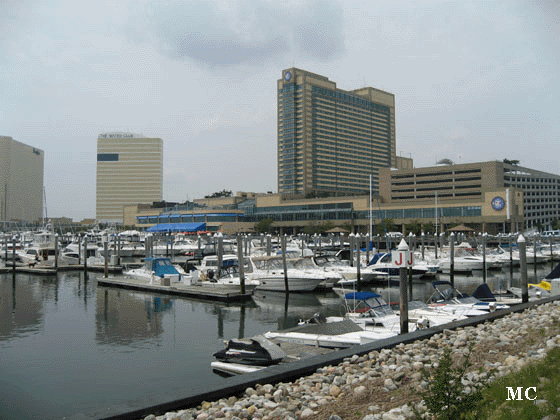 Farley Marina, Atlantic City NJ