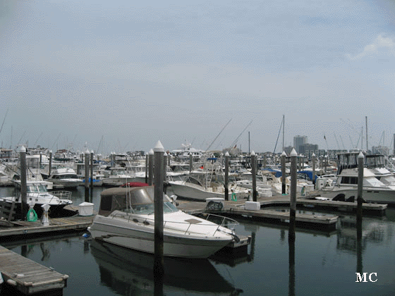 Boats at the Farley Marina