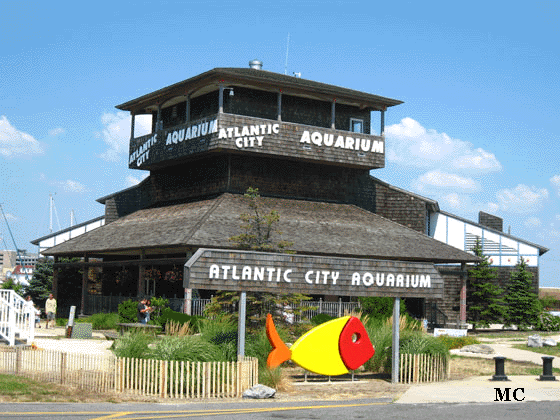 Atlantic City Aquarium