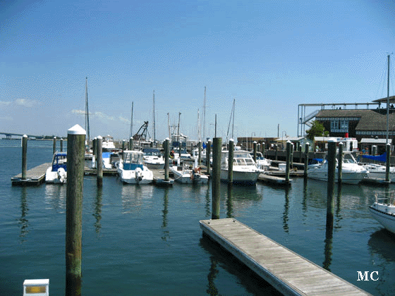 Gardners Basin Boats