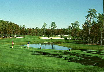 Harbor Pines 8th Hole 