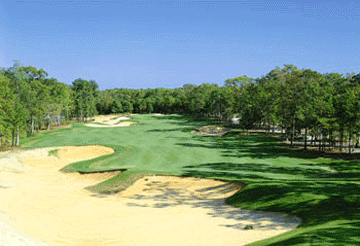 Sand Barrens Golf Hole 