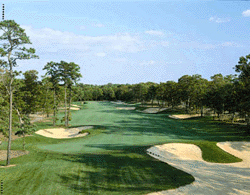 Sand Barrens Golf Hole
