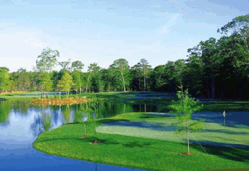 Sand Barrens Golf Hole 