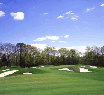 Shore Gate 16th Hole 