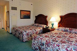 Larger Guest Room