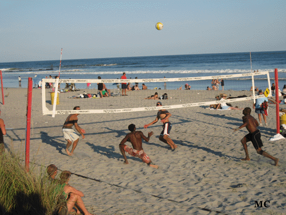 Volley Ball on the Beach 