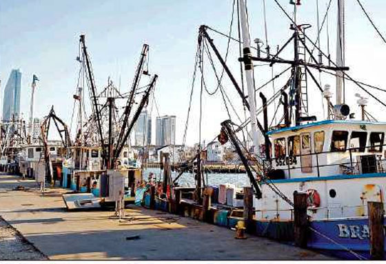 Gardners Basin Commercial Fishing Ships